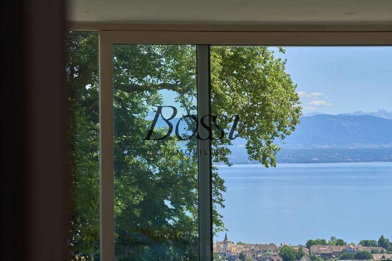 Un belvédère contemporain face au Léman (4)