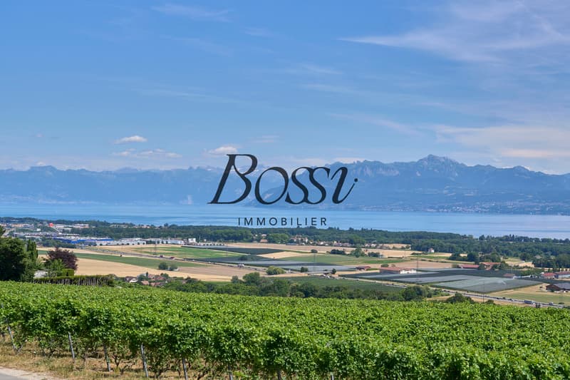 Un belvédère contemporain face au Léman (3)