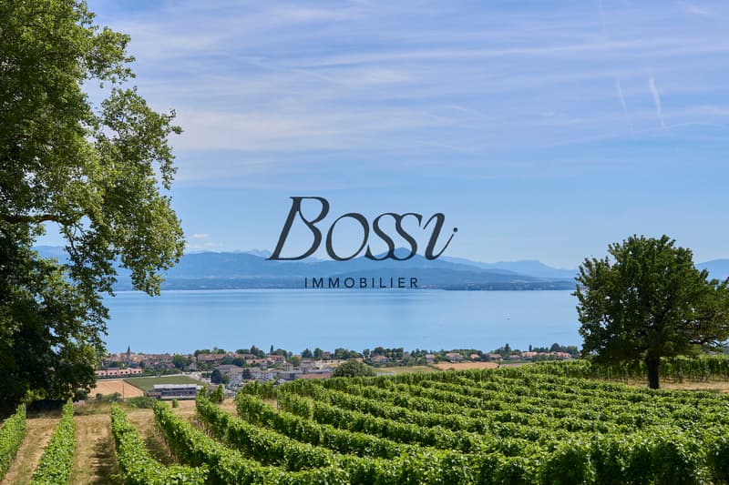Un belvédère contemporain face au Léman (1)