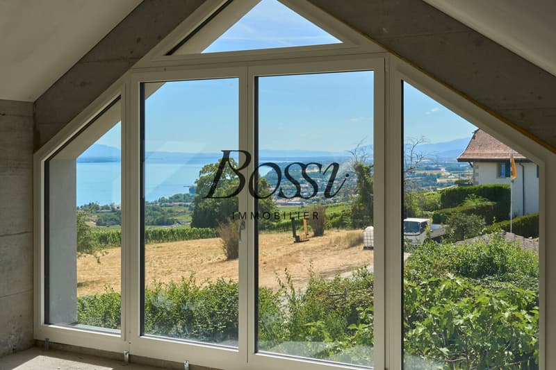 Un belvédère contemporain face au Léman (5)