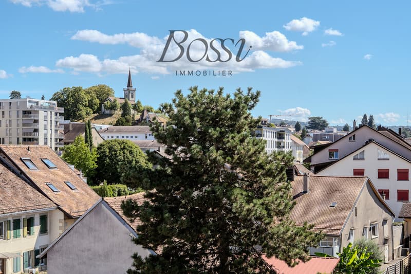 Duplex de 175 m² au dernier étage avec terrasse et vue (1)