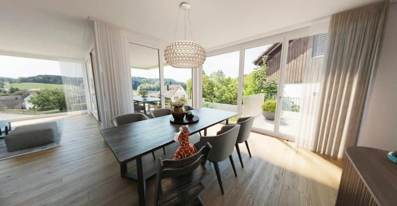 Elsau Casa Weitblick - Garten Eckhaus rechts (5)