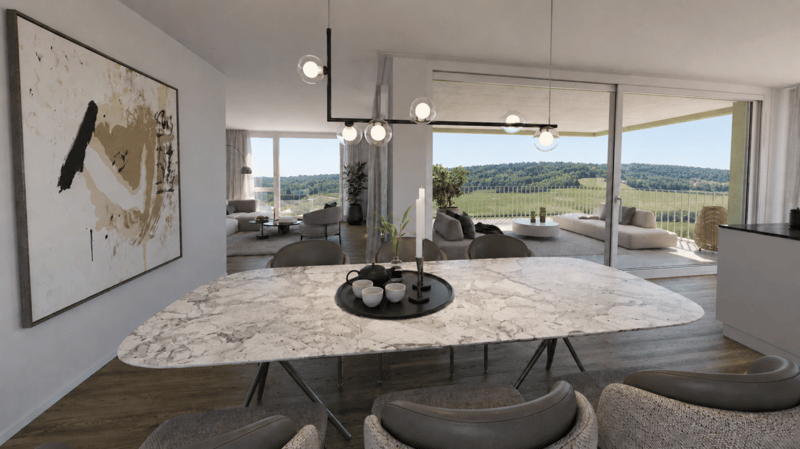 Nahe Winterthur: Elsau Casa Weitblick - Penthouse (4)