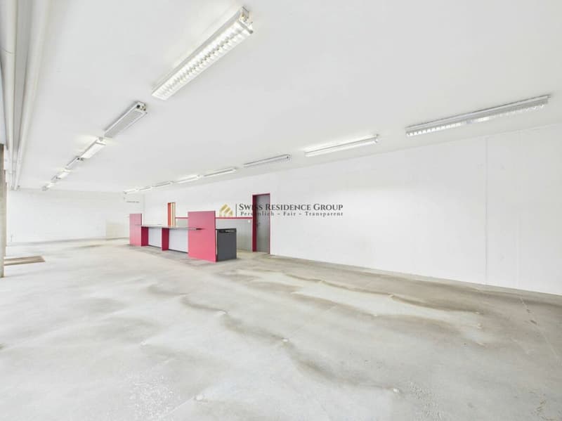Locaux commerciaux dans un emplacement sensationnel (2)