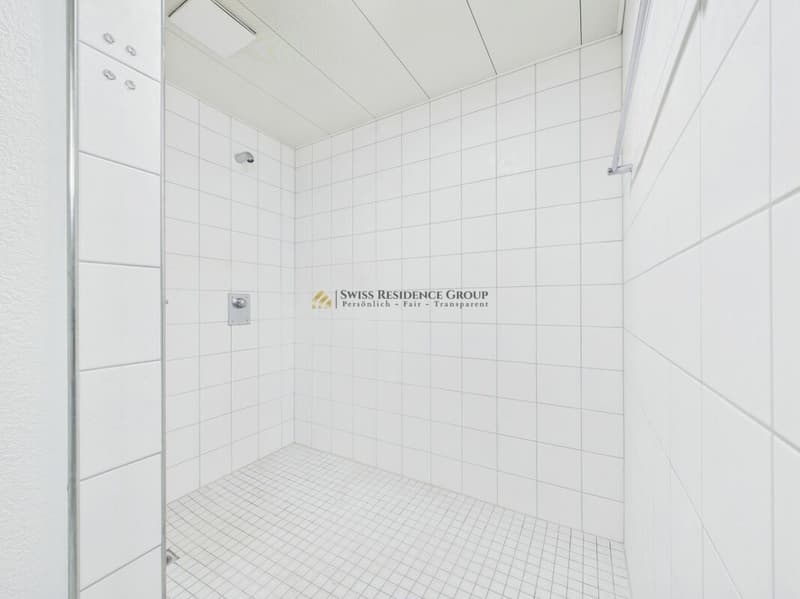 Espace commercial et de stockage moderne avec beaucoup de lumière du jour (19)