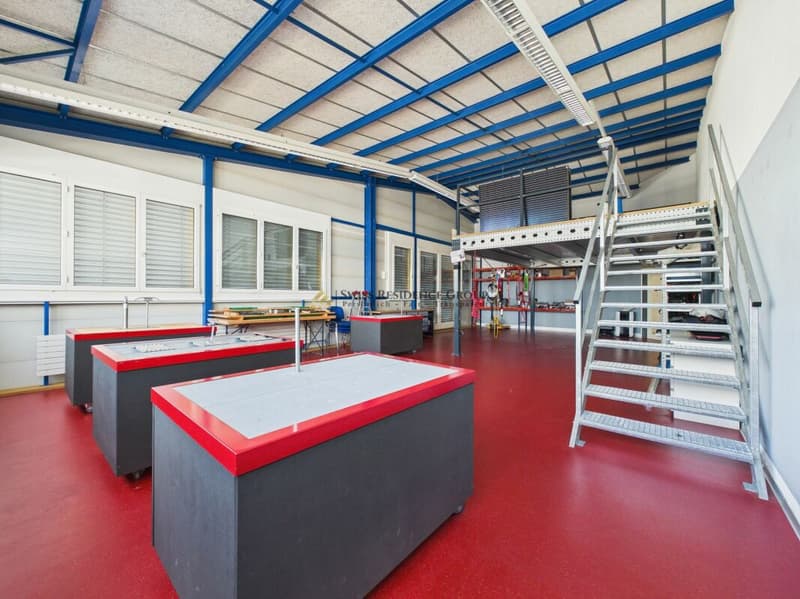 Espace commercial et de stockage moderne avec beaucoup de lumière du jour (11)
