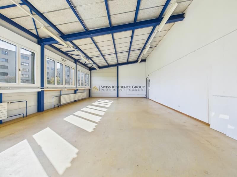Espace commercial et de stockage moderne avec beaucoup de lumière du jour (4)