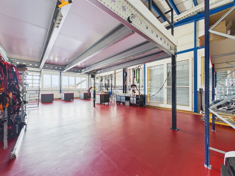 Espace commercial et de stockage moderne avec beaucoup de lumière du jour (12)