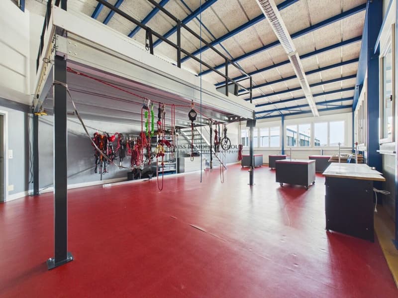 Espace commercial et de stockage moderne avec beaucoup de lumière du jour (14)