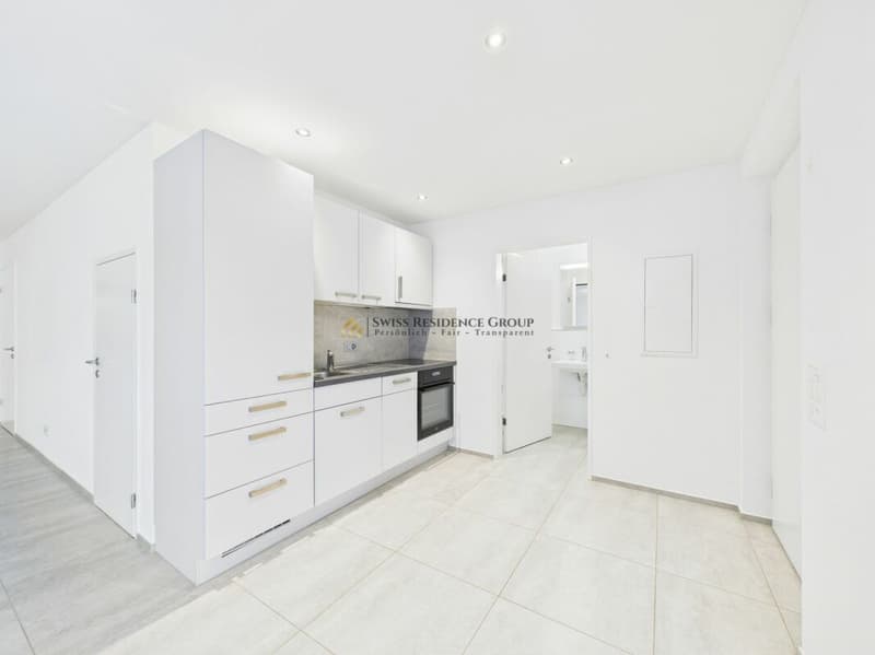 Incantevole appartamento di 2 camere con ingresso separato e terrazza (6)