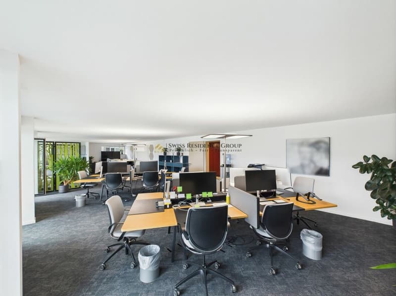 Bureau moderne au cœur de Zurich avec une vue rêvée (5)
