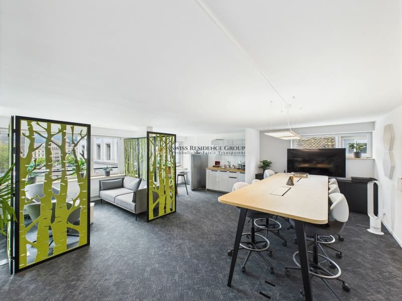 Bureau moderne au cœur de Zurich avec une vue rêvée (4)