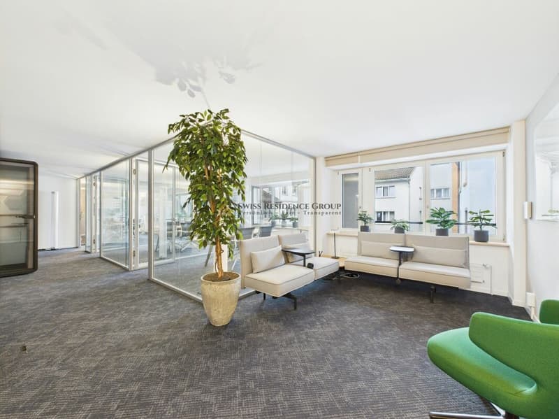 Bureau moderne au cœur de Zurich avec une vue rêvée (12)