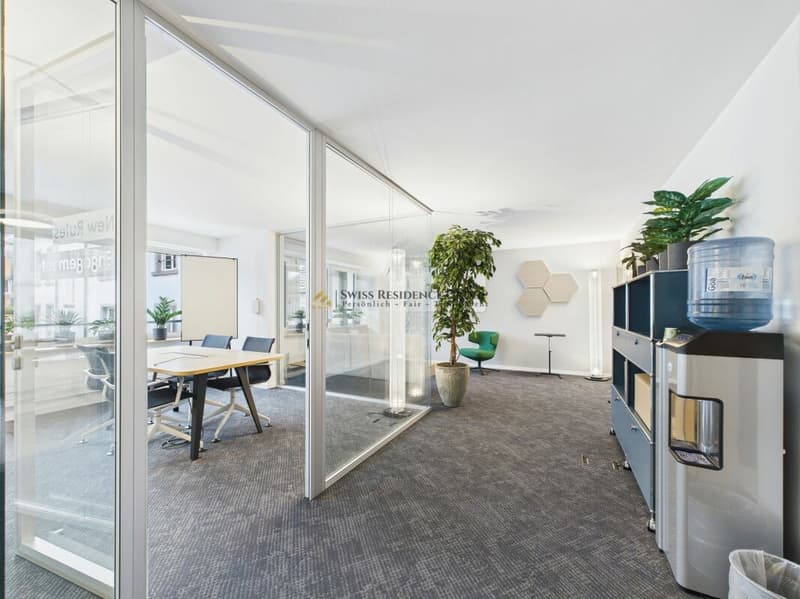 Bureau moderne au cœur de Zurich avec une vue rêvée (11)