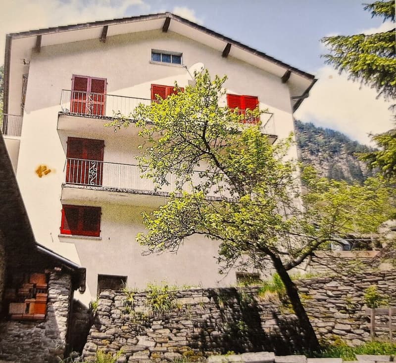 Casa unifamiliare con due appartamenti - Il tuo progetto in una location idilliaca! (2)
