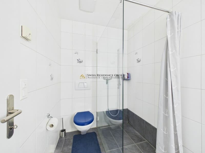 Bright attic apartment with a wonderful view of the mountains and lake (16)