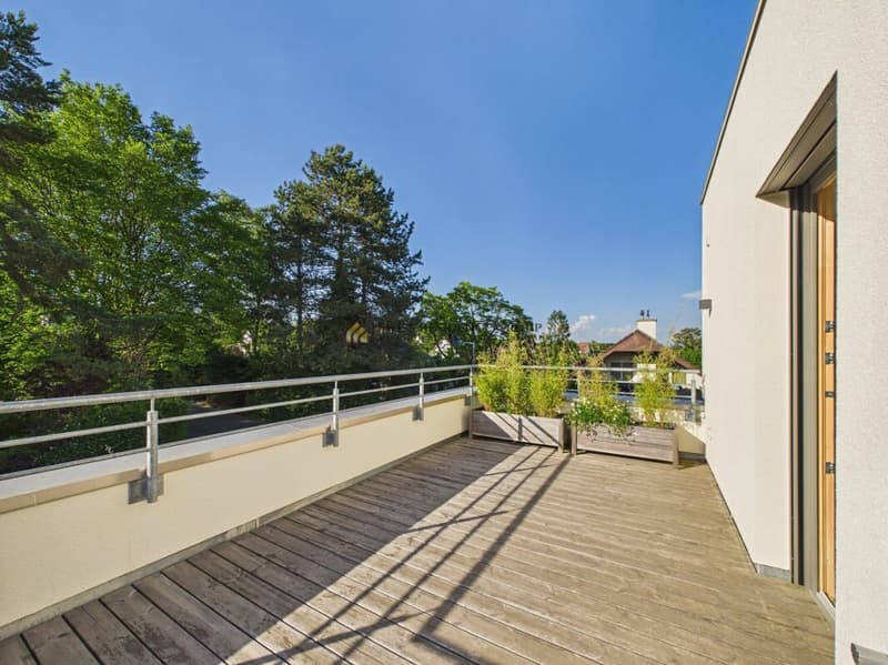3.5-Zimmer Maisonette Attika-Wohnung mit sonnige 46m2 Dachterrasse (19)