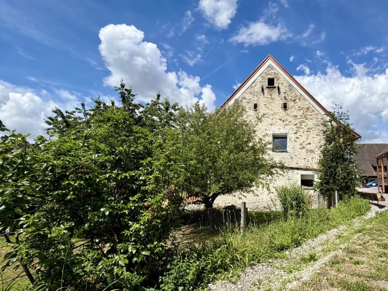 Ein Zuhause mit Geschichte und Zukunft - Licht und Ruhe in Oetwil an der Limmat (15)