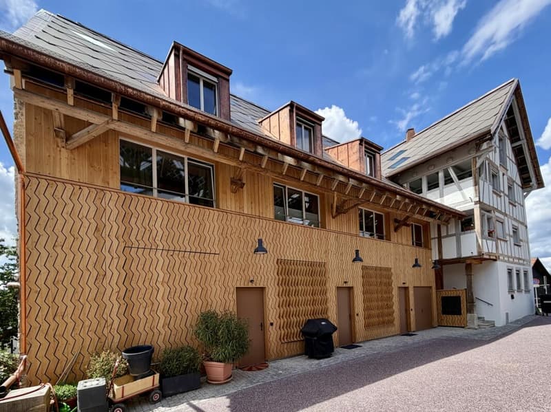 Ein Zuhause mit Geschichte und Zukunft - Licht und Ruhe in Oetwil an der Limmat (1)