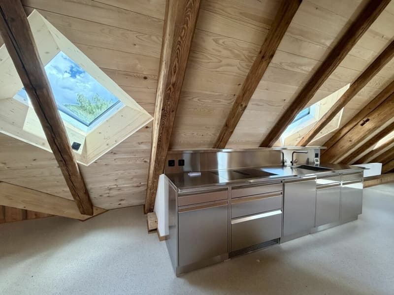 Exklusives Penthouse mit zwei Loggien - Leben zwischen Natur und Stadt (15)