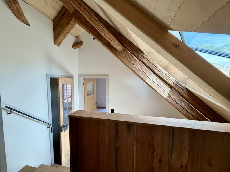 Exklusives Penthouse mit zwei Loggien - Leben zwischen Natur und Stadt (9)