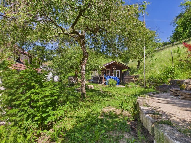 Grosszügiges 6.5-Zimmer-Einfamilienhaus mit Traumgarten in Wettingen (16)