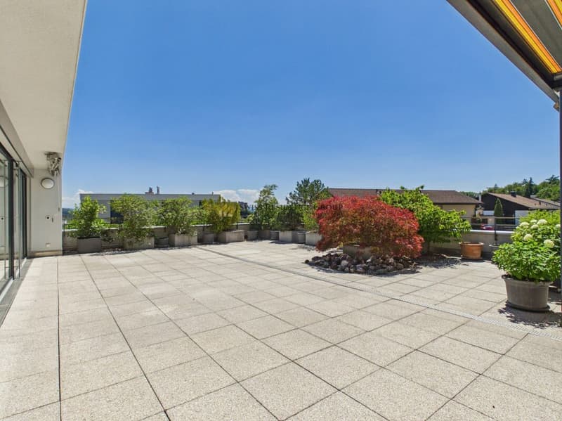Exklusives Wohnerlebnis mit gigantischer Terrasse (11)