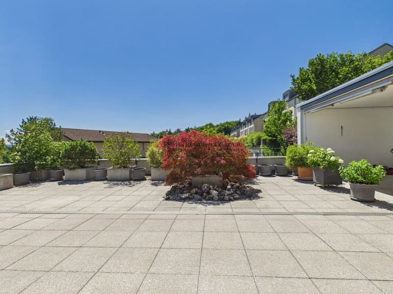 Exklusives Wohnerlebnis mit gigantischer Terrasse (12)