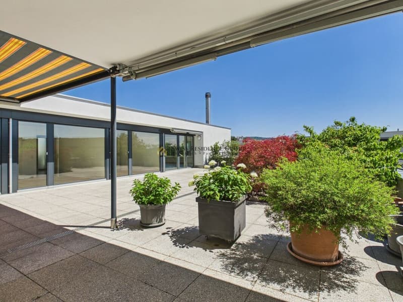 Exklusives Wohnerlebnis mit gigantischer Terrasse (13)