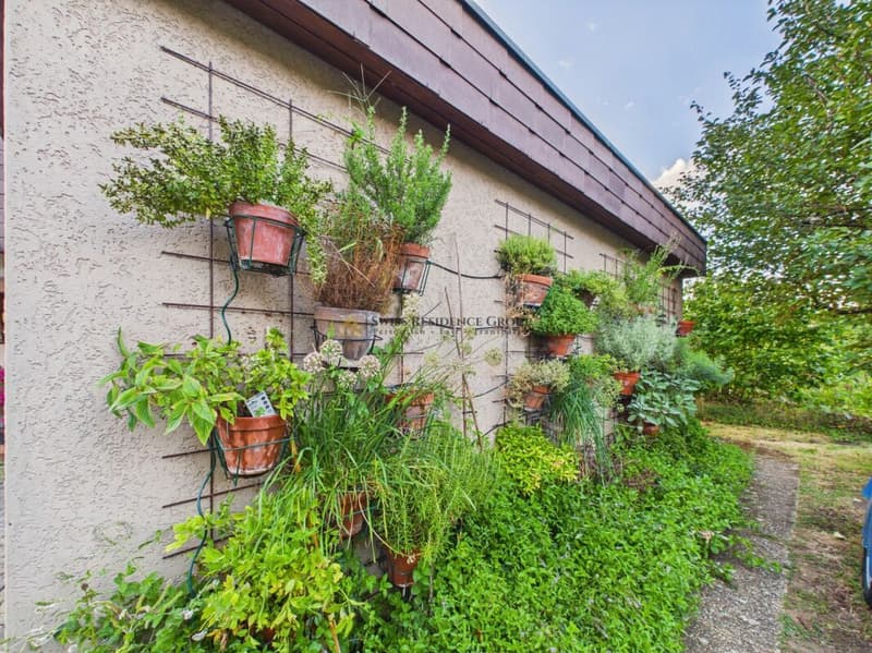 Einfamilienhaus mit Garten- ideal für Gartenliebhaber (2)