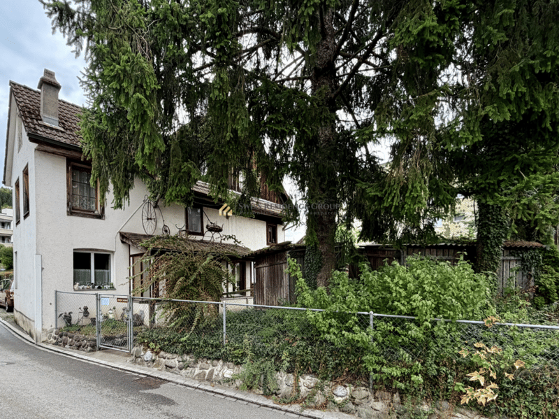 Einzigartige Investitionschance an bester Lage: 10-Zimmer-Bauernhaus (3)