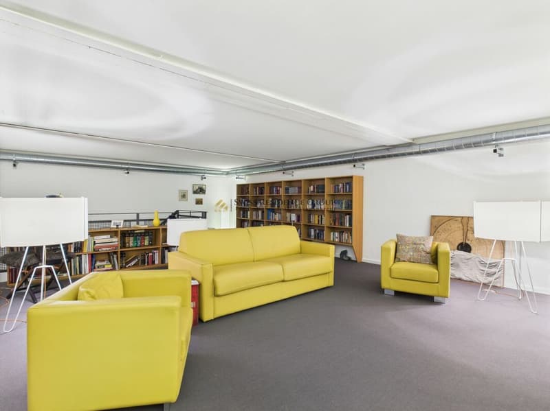 Einzigartige Loft-Gewerbefläche mit 214m2, Galerie und privatem Kino (4)