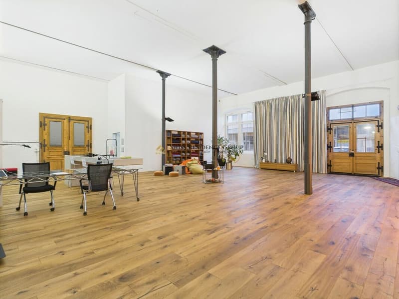 Einzigartige Loft-Gewerbefläche mit 214m2, Galerie und privatem Kino (2)