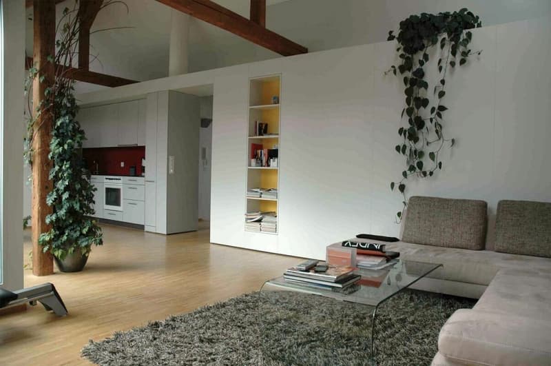 3.5 Z-Dachwohnung Ihr neues Zuhause über den Dächern von Bern (5)