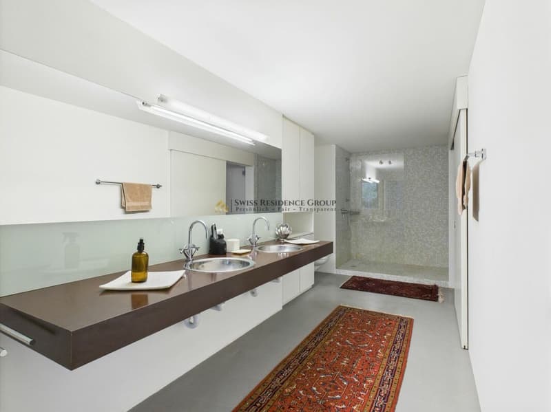 Aussergewöhnliches Designloft mit historischem Charme und privatem Garten (25)