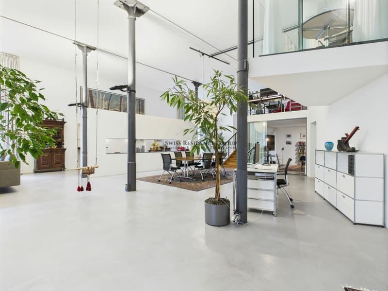Aussergewöhnliches Designloft mit historischem Charme und privatem Garten (3)