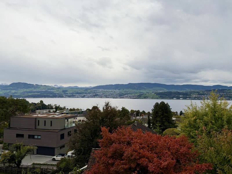 Fantastische Sicht zum See und in die Alpen (18)