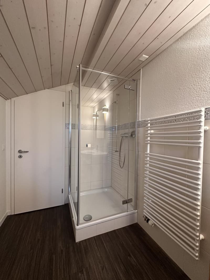 Duplexwohnung mit viel Platz, Terrasse und Wintergarten im Eigentumsstandard (13)