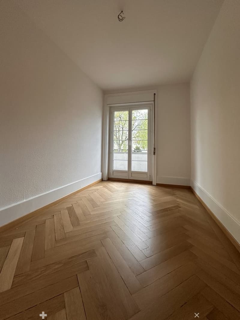 Zimmer1.jpg