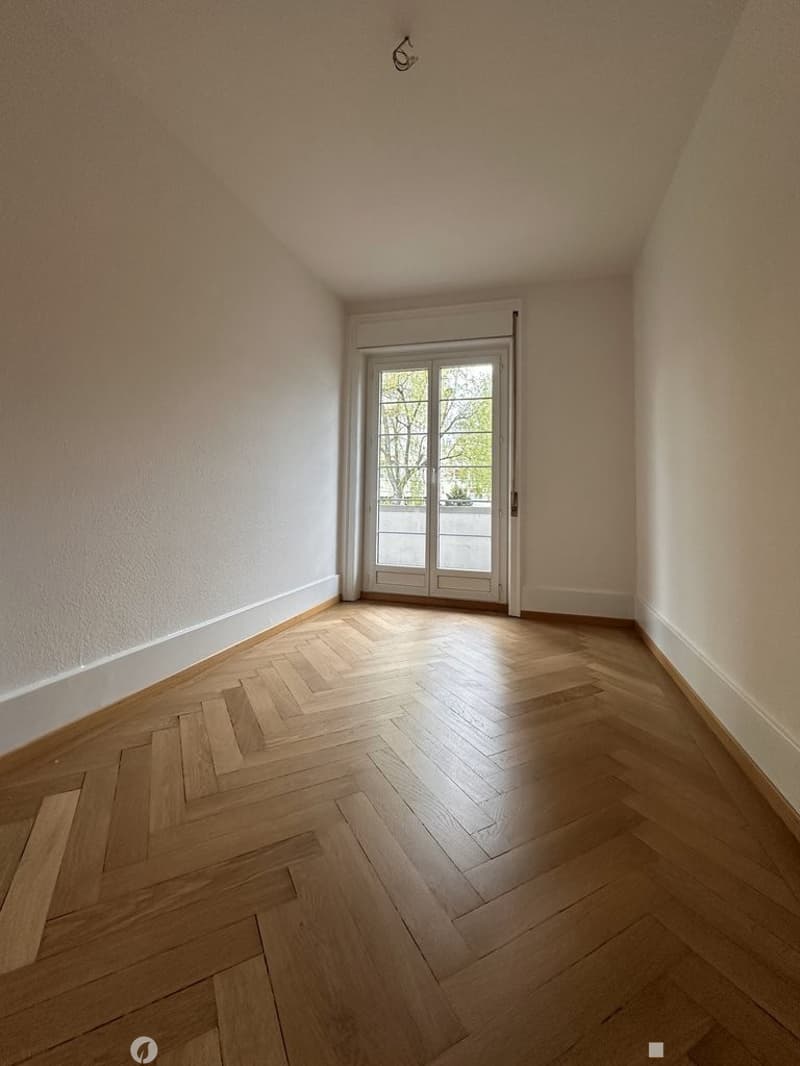 Zimmer1.jpg