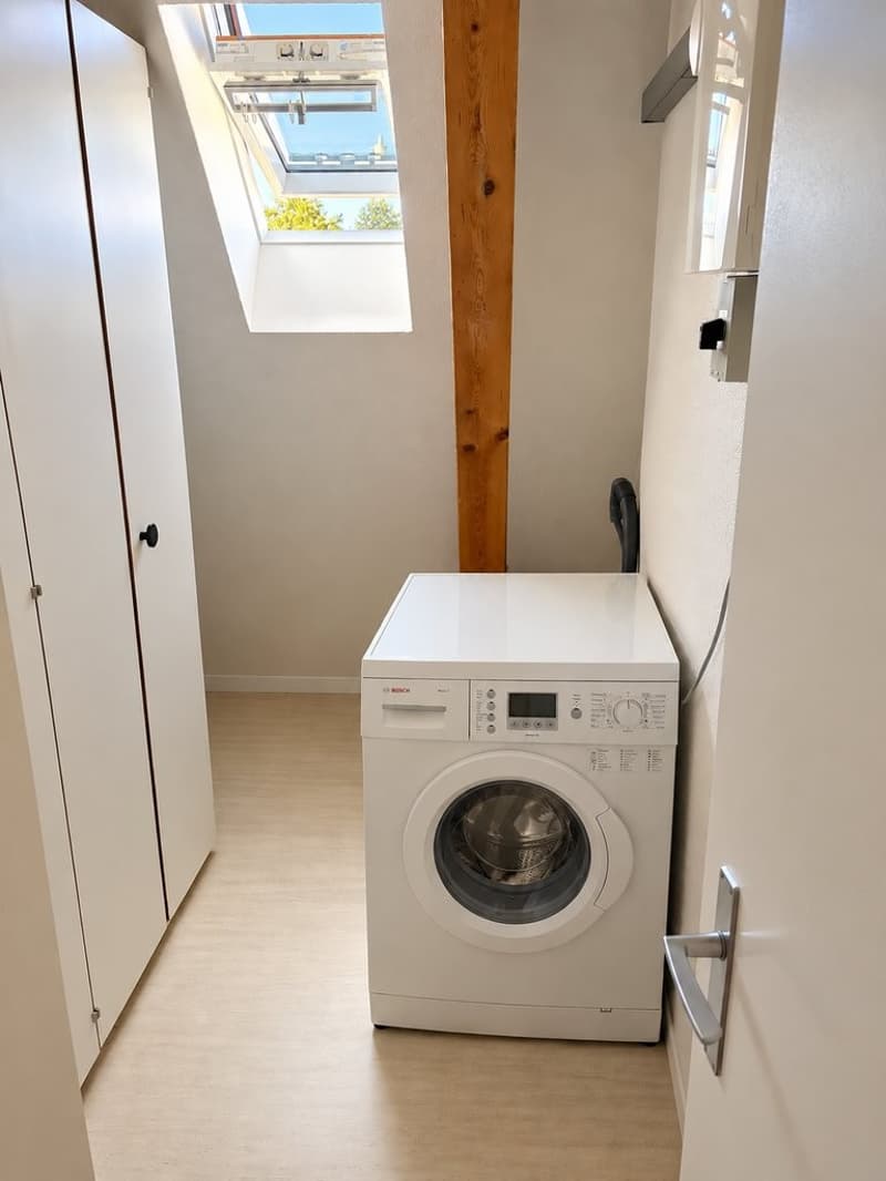 Reduit_mit_Einbauschrank_und_WM.png