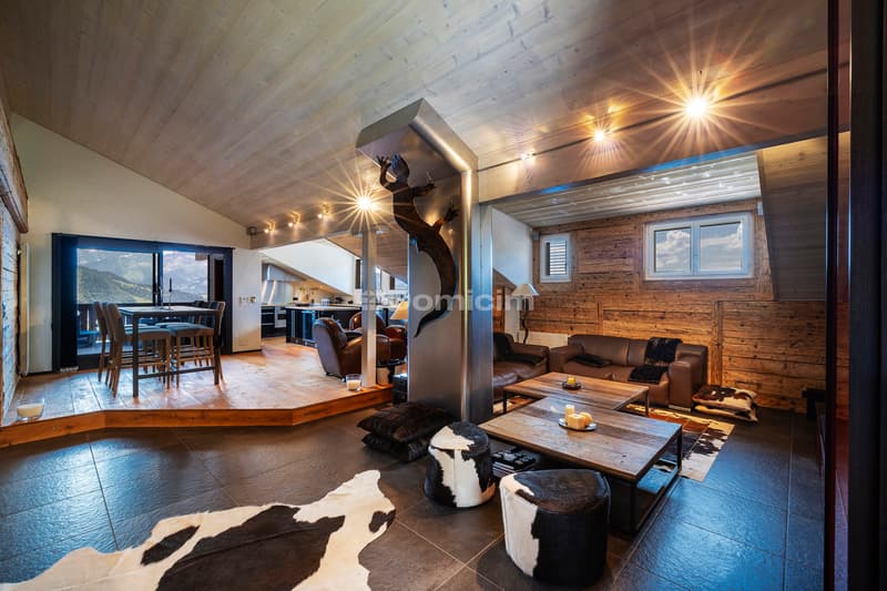Superbe appartement de 4.5 pièces en duplex (2)