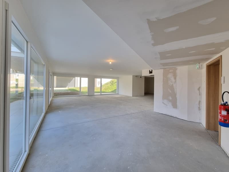 NEUF ! SURFACE COMMERCIALE DE 131 m² AVEC TERRASSE-JARDIN (3)