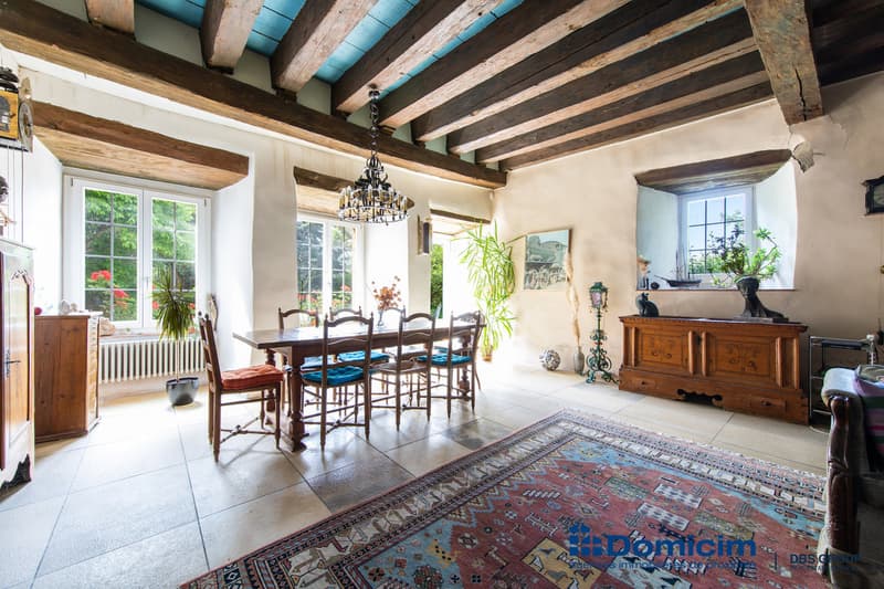 Authentique demeure de caractère de 7 appartements (5)