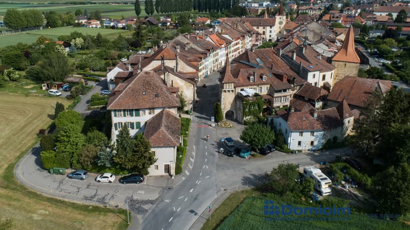 Authentique demeure de caractère de 7 appartements (2)