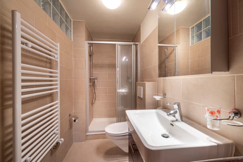 Charmant chalet idéalement situé avec 3 logements (8)