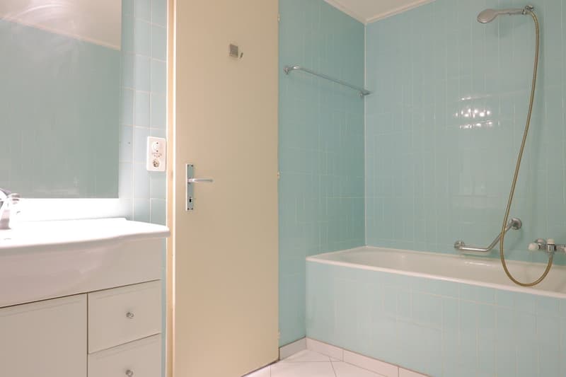 Grand 2.5 pièces avec balcon, EXCLUSIVITE (5)