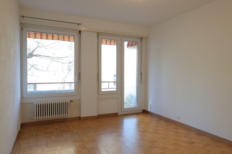 Grand 2.5 pièces avec balcon, EXCLUSIVITE (3)