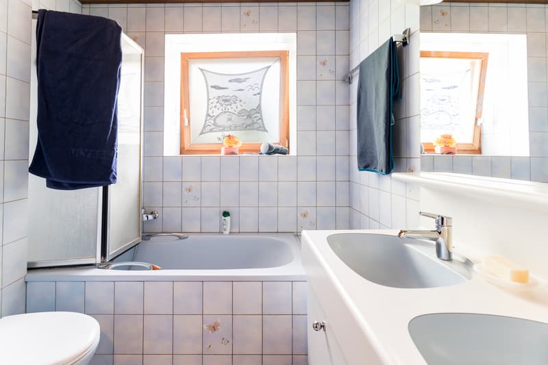 Bâtisse du 19ème de 3 appartements (12)