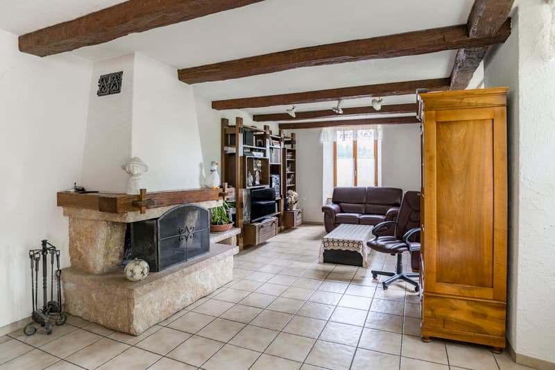 Bâtisse du 19ème de 3 appartements (6)